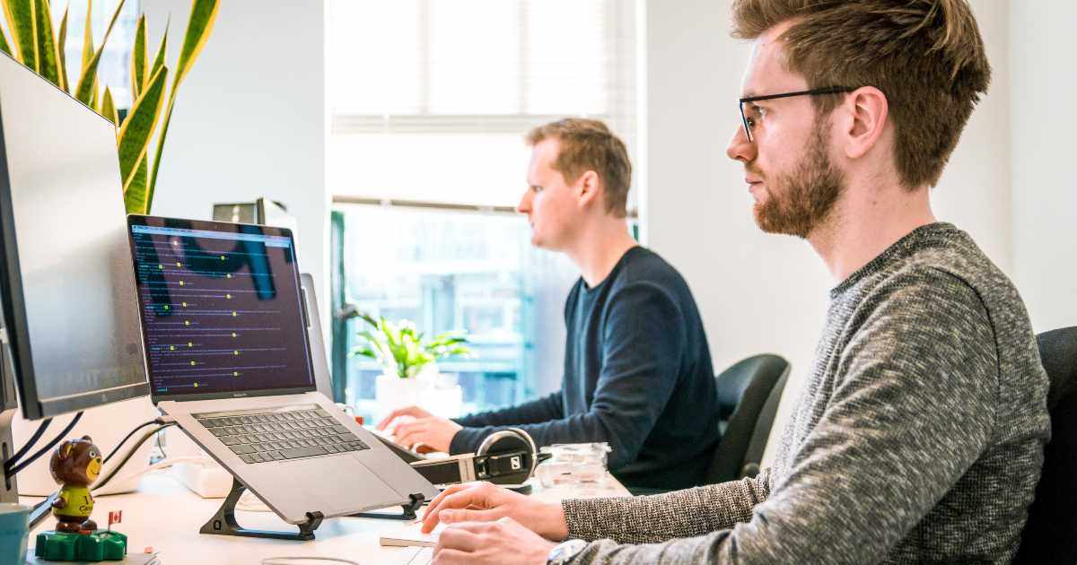 trabajar en nueva zelanda Trabajar en Nueva Zelanda: requisitos, empleos y consejos